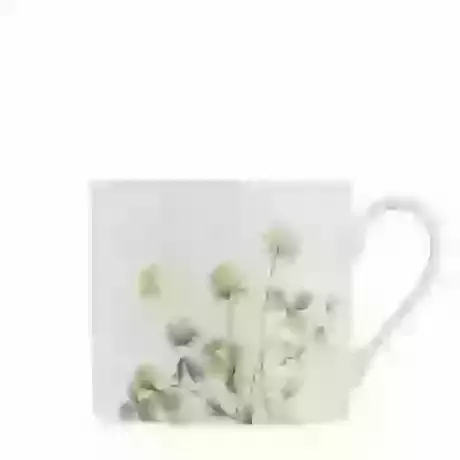 Fine Bone China Mug